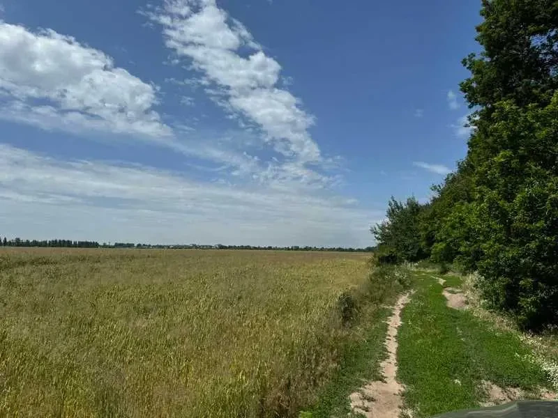 ділянка під житлову забудову Бориспільський, Велика Олександрівка, Н.. 4