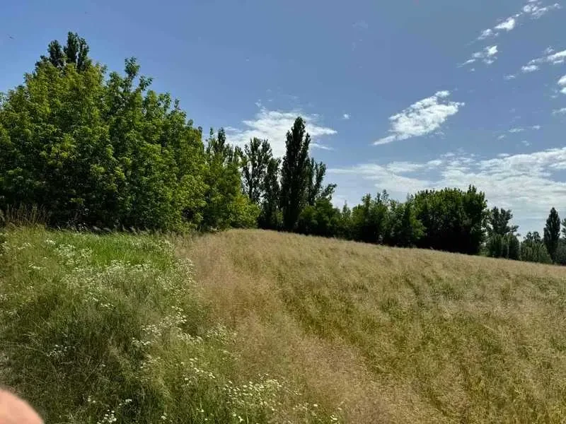 ділянка під житлову забудову Бориспільський, Велика Олександрівка, Н.. 5
