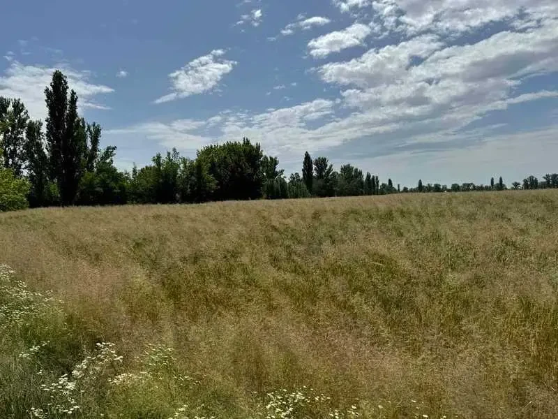 ділянка під житлову забудову Бориспільський, Велика Олександрівка, Н.. 3
