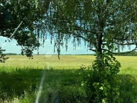 ділянка під житлову забудову Бориспільський, Велика Олександрівка, Н..