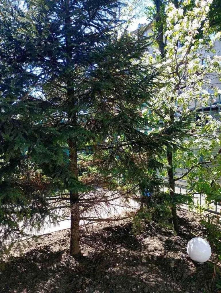 2-к квартира Одеса, Хаджибейський, Ефима Фесенко 23