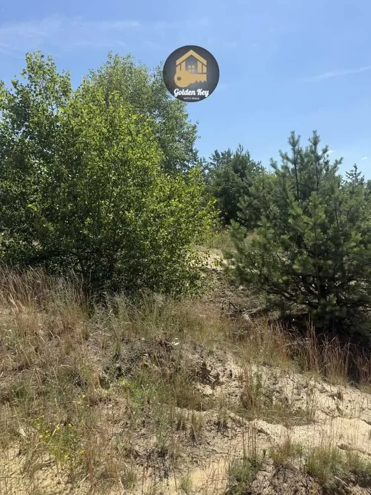 ділянка сільськогосподарського призначення Вишгородський, Хотянівка,.. 9
