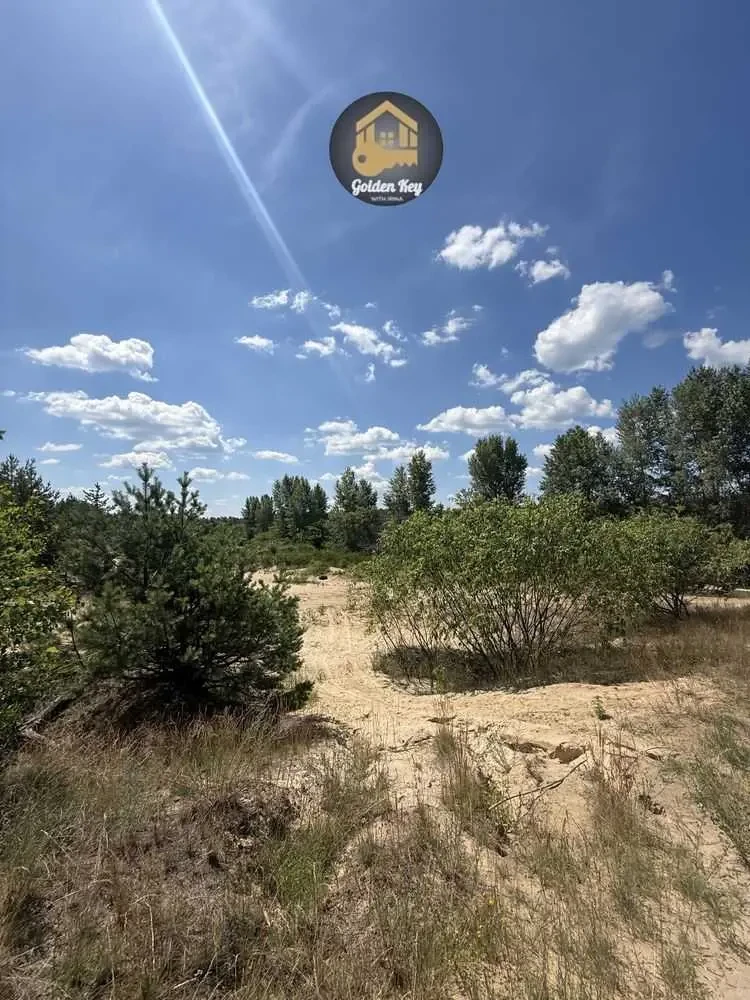 ділянка сільськогосподарського призначення Вишгородський, Хотянівка,.. 10