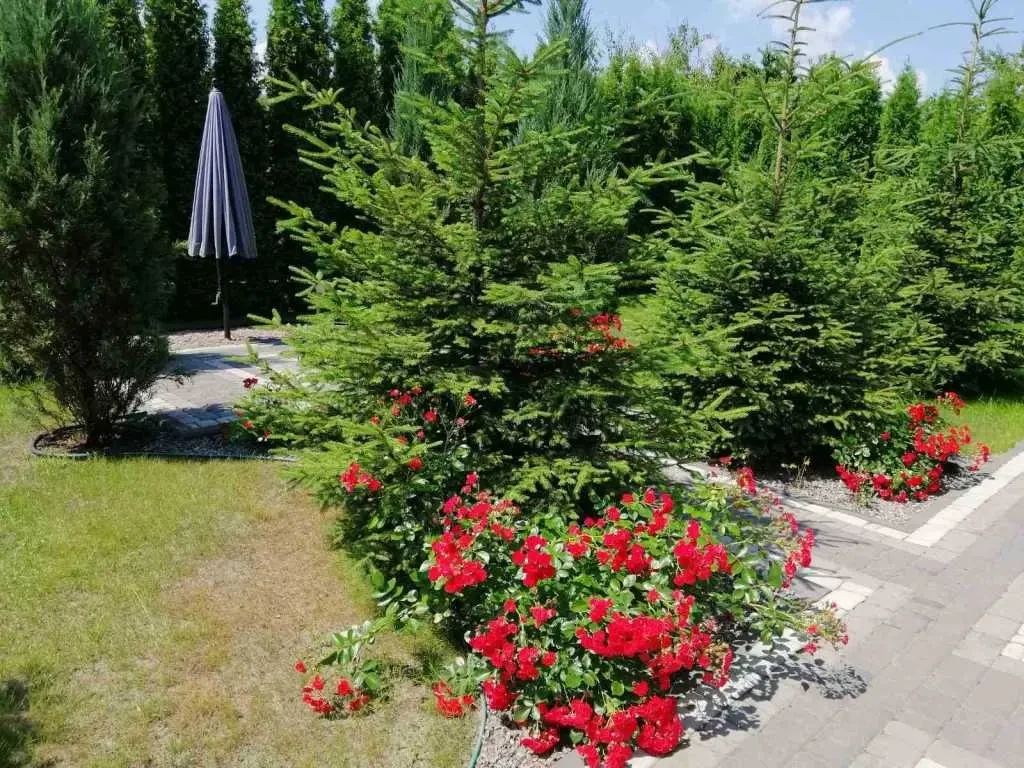5-к будинок Вишгородський, Вишгород, Полунична 21
