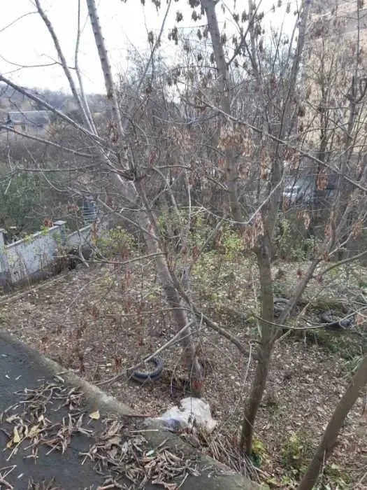 ділянка під житлову забудову Київ, Голосіївський, Столєтова 8