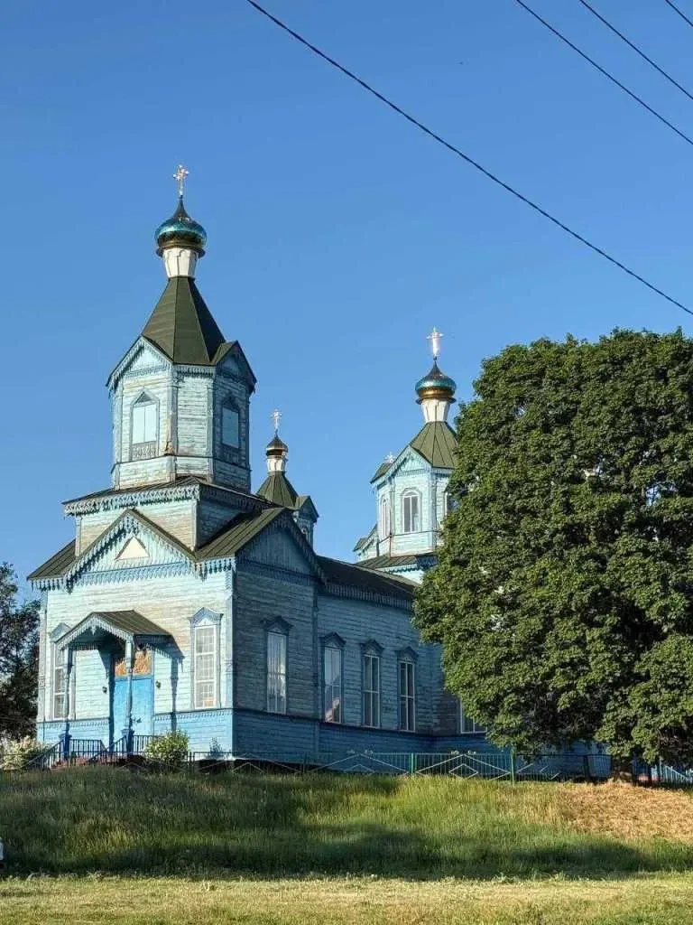 5-к будинок Бориспільський, Рогозів, Дружби 3 20