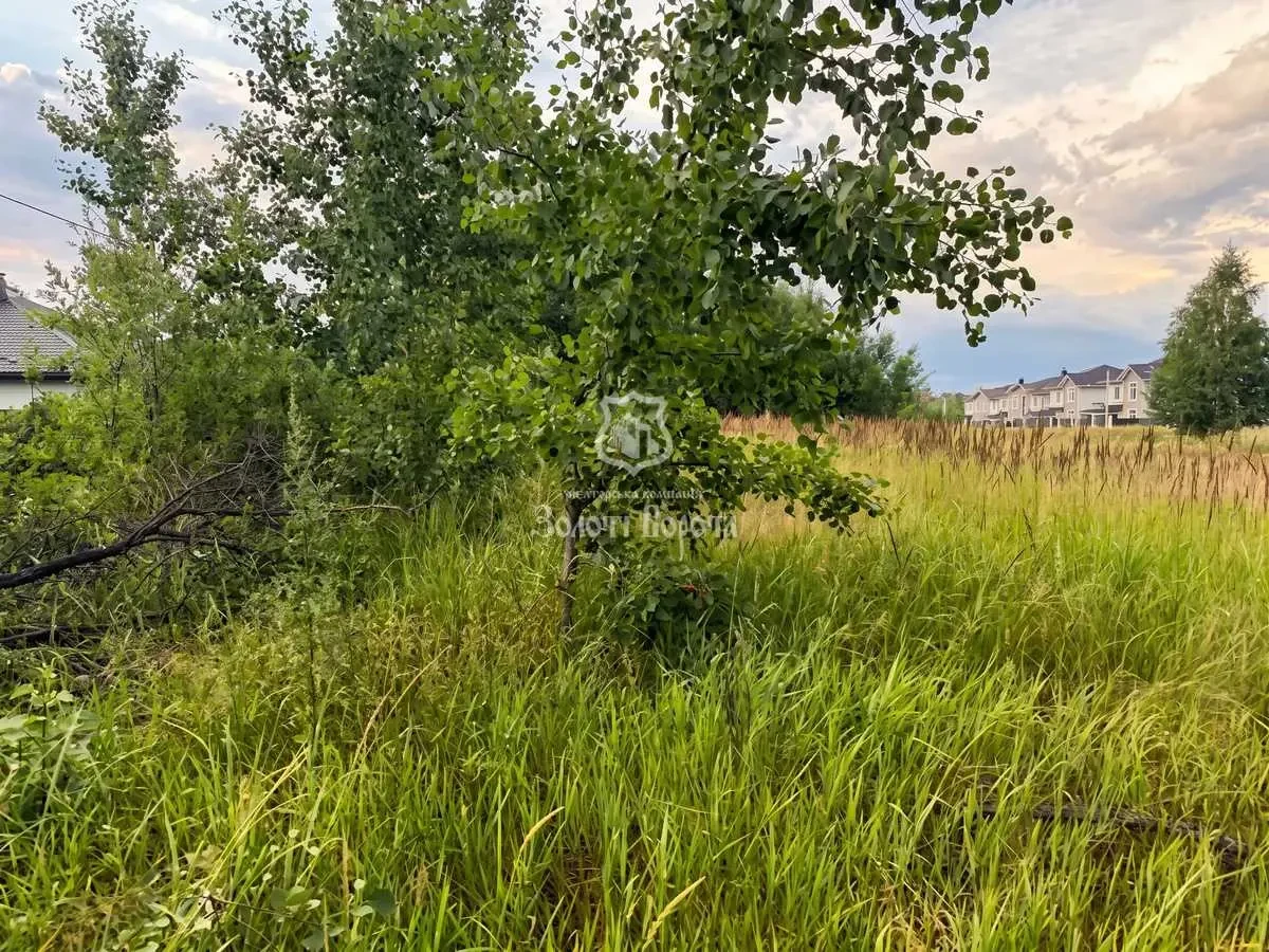 ділянка комерційного призначення Бучанський, Святопетрівське, Київсь.. 3