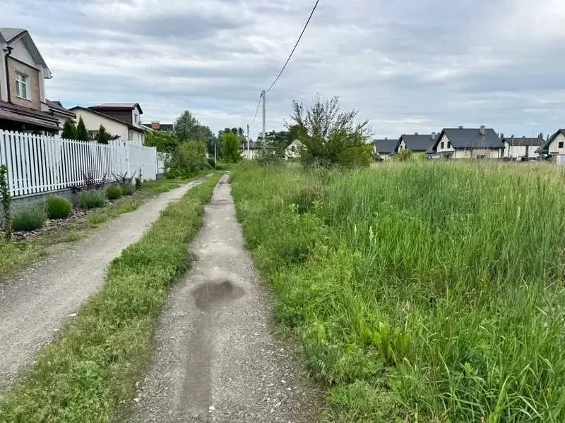 ділянка сільськогосподарського призначення Бориспільський, Щасливе, .. 3