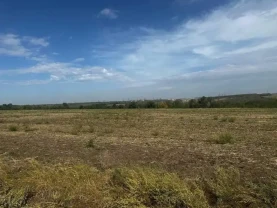 ділянка рекреаційного призначення Дніпро, Новоолександрівка, нова