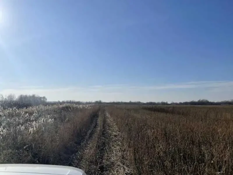 ділянка сільськогосподарського призначення Броварський, Пухівка, Нова 3