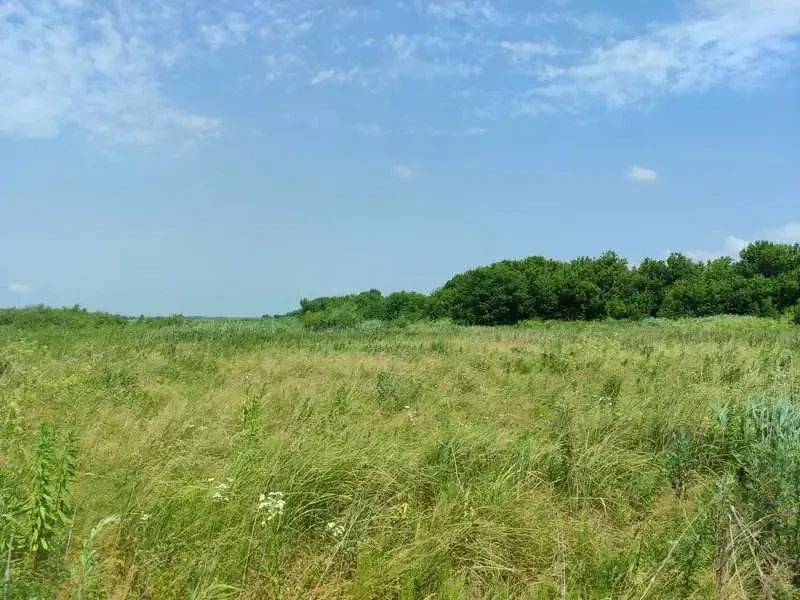 ділянка сільськогосподарського призначення Бучанський, Озера, Нова 25
