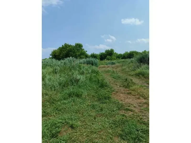 ділянка сільськогосподарського призначення Бучанський, Озера, Нова 3