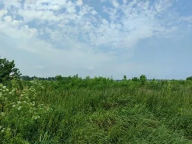 ділянка сільськогосподарського призначення Бучанський, Озера, Нова