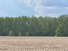 ділянка сільськогосподарського призначення Бучанський, Мар`янівка, Н..