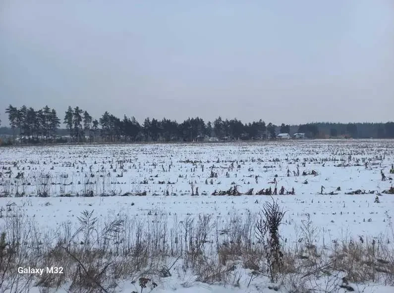 ділянка сільськогосподарського призначення Полтава, Сем’янівка, Нова 7