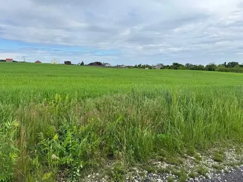 ділянка під житлову забудову Бориспільський, Велика Стариця, Нова 6