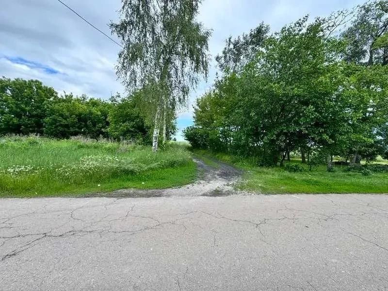 ділянка під житлову забудову Бориспільський, Велика Стариця, Нова 5