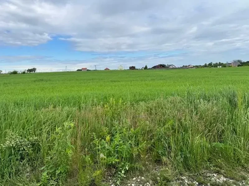 ділянка під житлову забудову Бориспільський, Велика Стариця, Нова 4