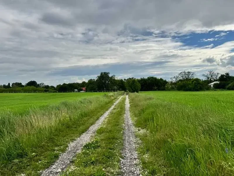 ділянка під житлову забудову Бориспільський, Велика Стариця, Нова 10