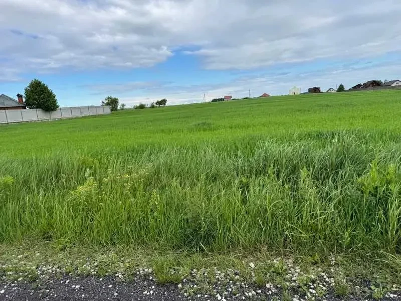 ділянка під житлову забудову Бориспільський, Велика Стариця, Нова 2