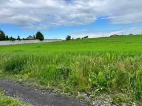 ділянка під житлову забудову Бориспільський, Велика Стариця, Нова