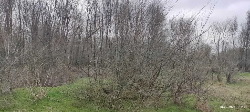 ділянка під житлову забудову Запоріжжя, Дніпровський, Адмірала Макар.. 3