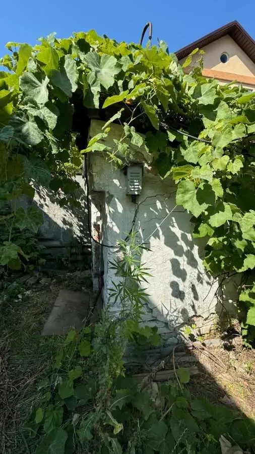4-к будинок Броварський, Велика Димерка, Богданівський 14 5
