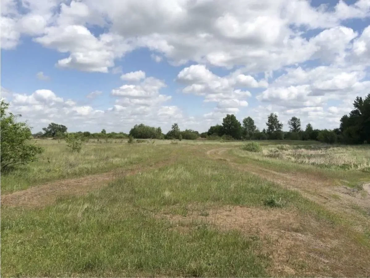 ділянка під житлову забудову Вишгородський, Новосілки, Корнійчука 10
