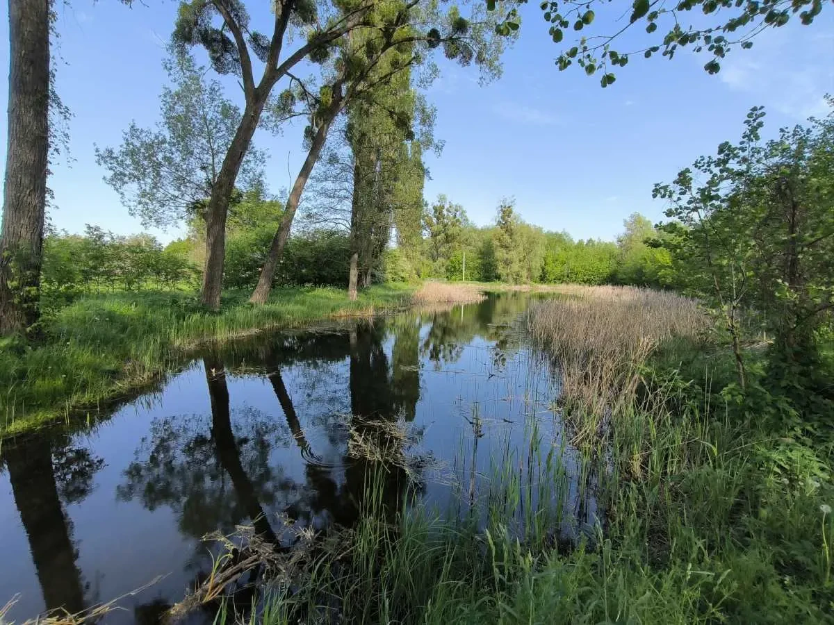 1-к будинок Фастівський, Осикове, Польова 23