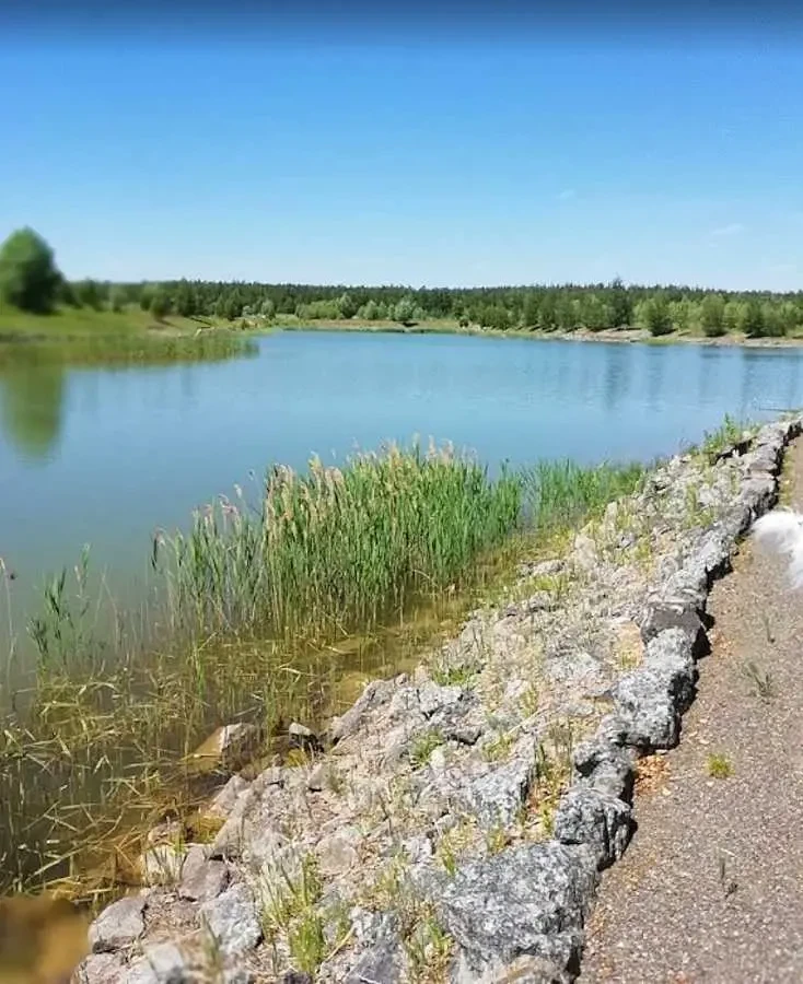 3-к будинок Бучанський, Колонщина, Фортеця Колонщини 3