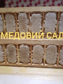 Сотовий мед (стільниковий) у рамках