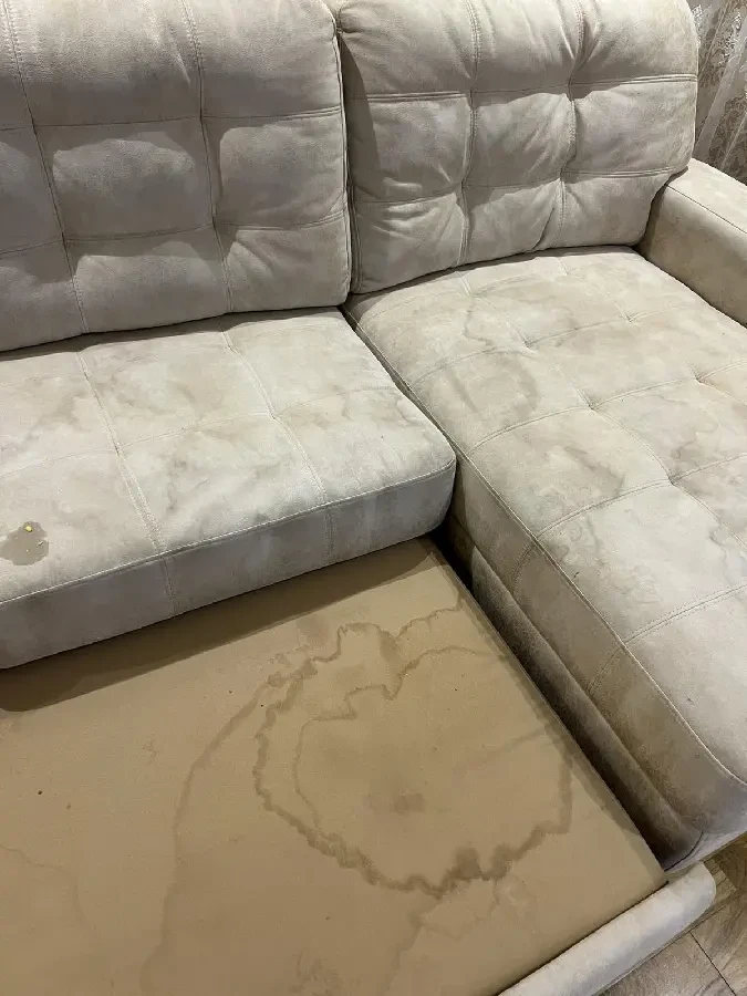 Оренда професійного миючого пилососа Karcher