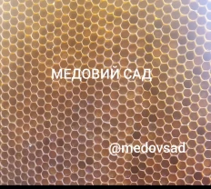 Перга в сотах