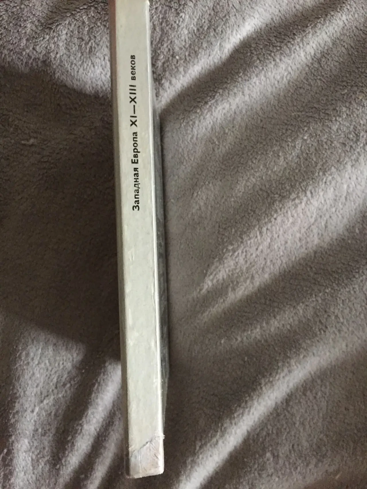 Западная Европа XI-XIII веков.А.Л.Ястребицкая 2