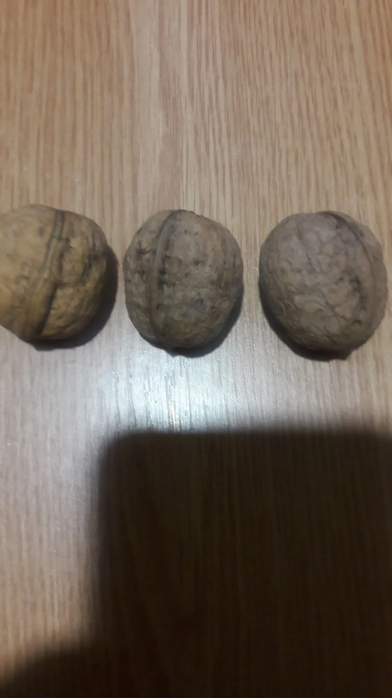 Орехи грецкие тонкокорые 2