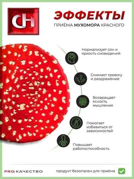 Мухоморы Красные Сушеные 2