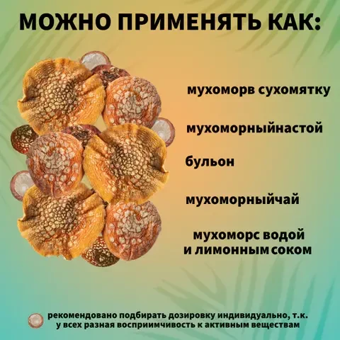 Мухоморы Красные Сушеные 6