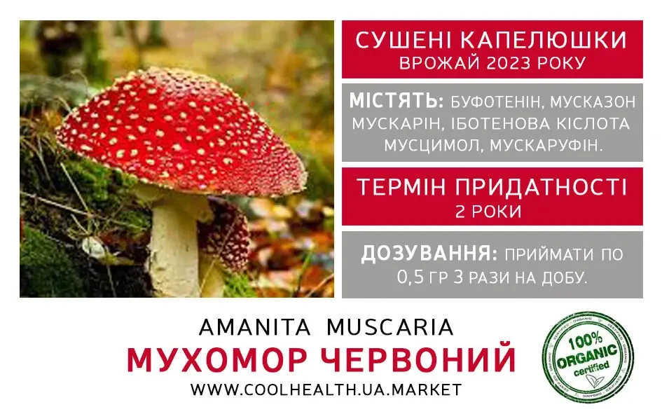 Мухоморы Красные Сушеные 3