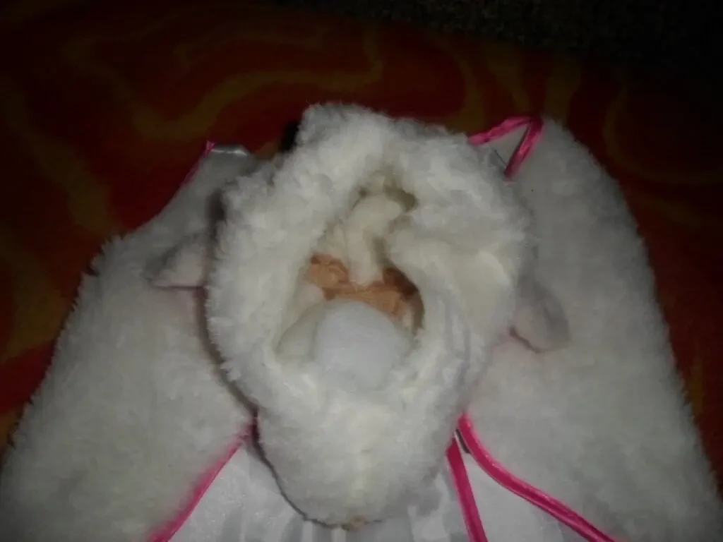 одяг для дівчинки 7