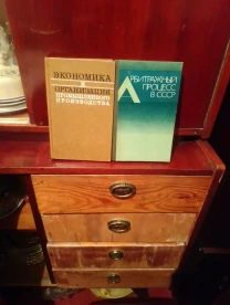 Экономика и организация промышленного производства1979