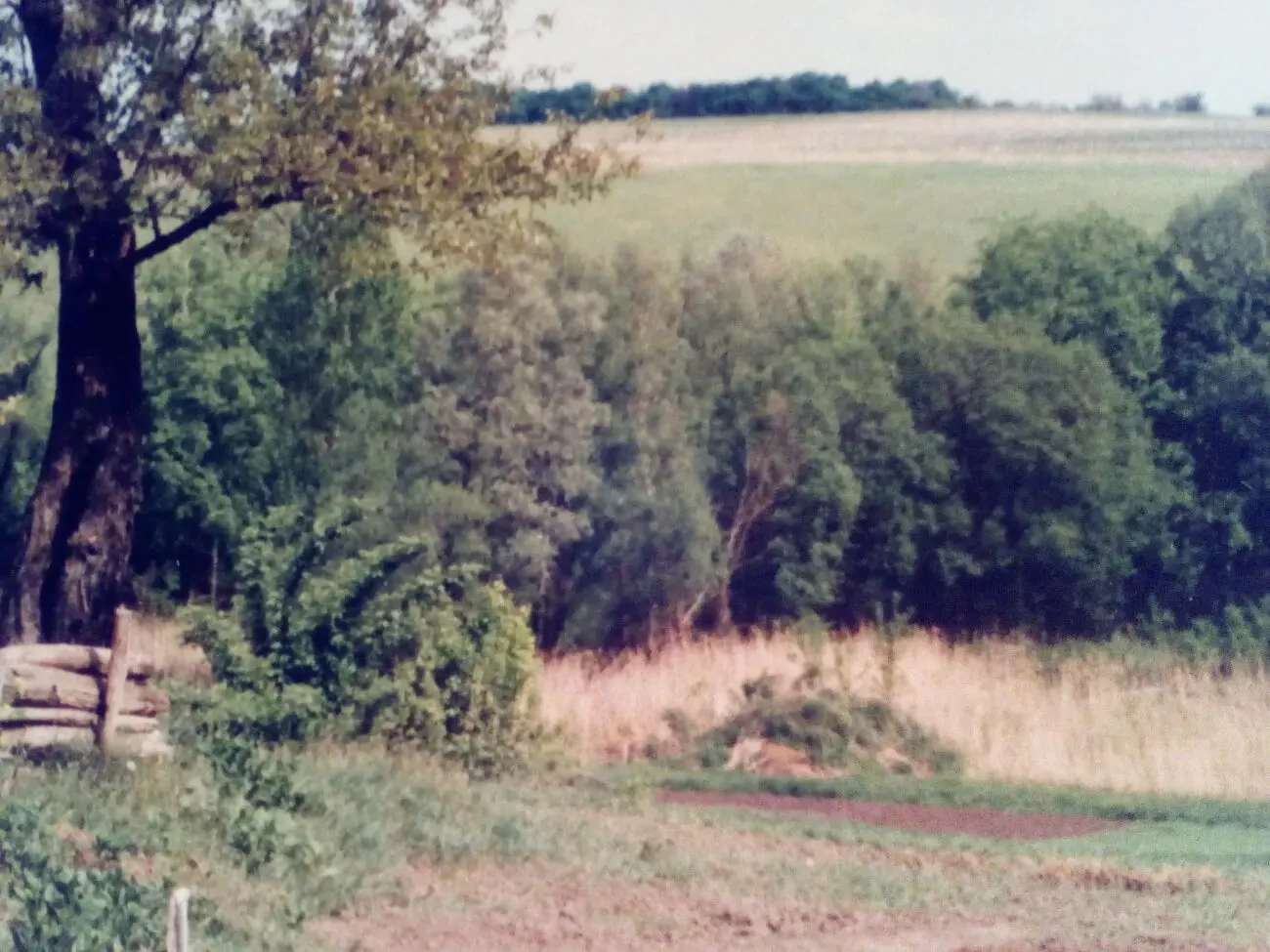 Дом с. Флярковка (Черкасская обл. Каменский р-он)- продам. 4