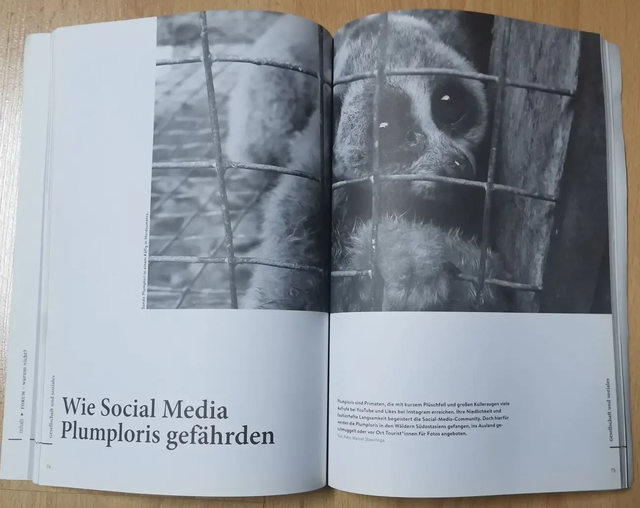 Forum. Stipendisches Magazin der Friedrich-Ebert-Stiftung. Warum nicht 5