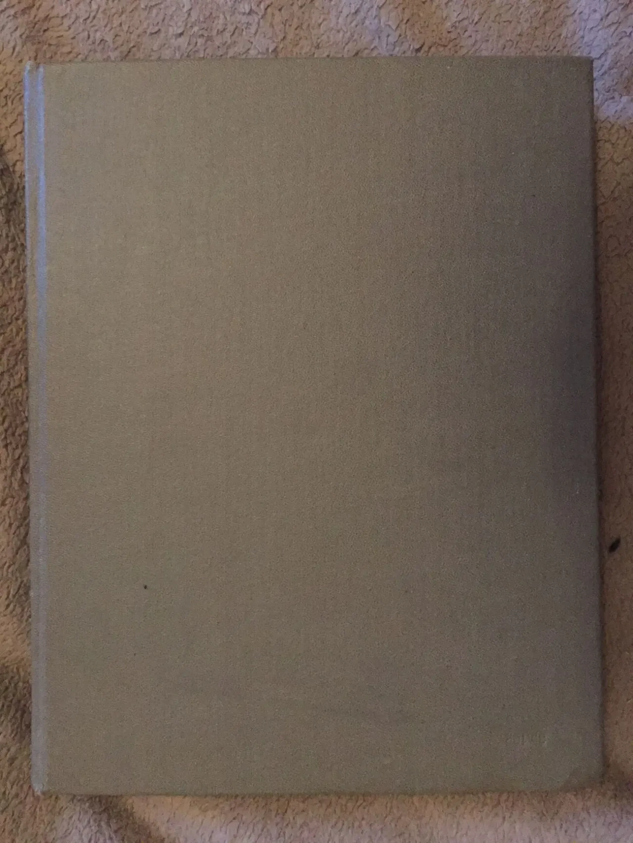 История зарубежного искусства 3