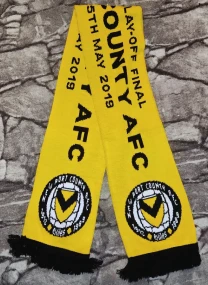 Футбольный шарф FC Newport County