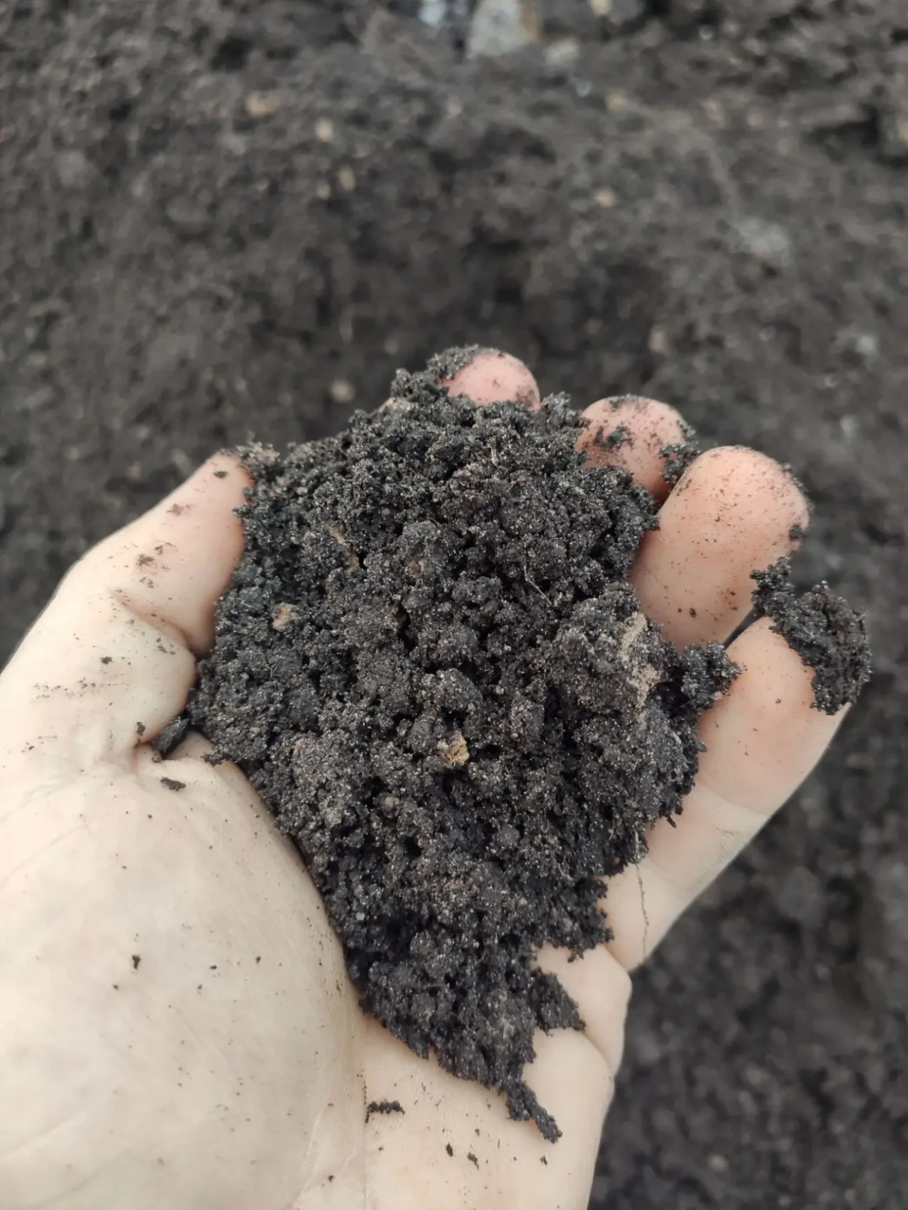 Торф та добриво