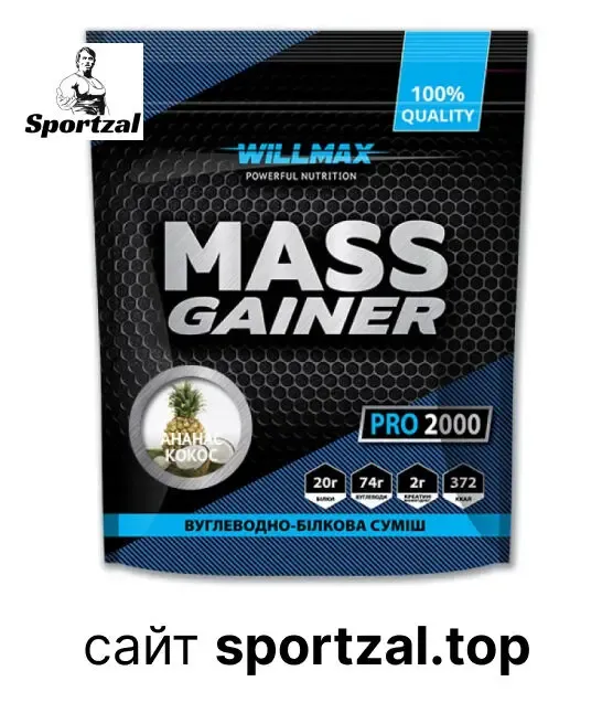 Гейнер, протеїн + казеїн + креатин Willmax 2кг.