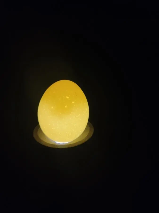 Овоскоп для просвічування яєць Бест-Овік 3