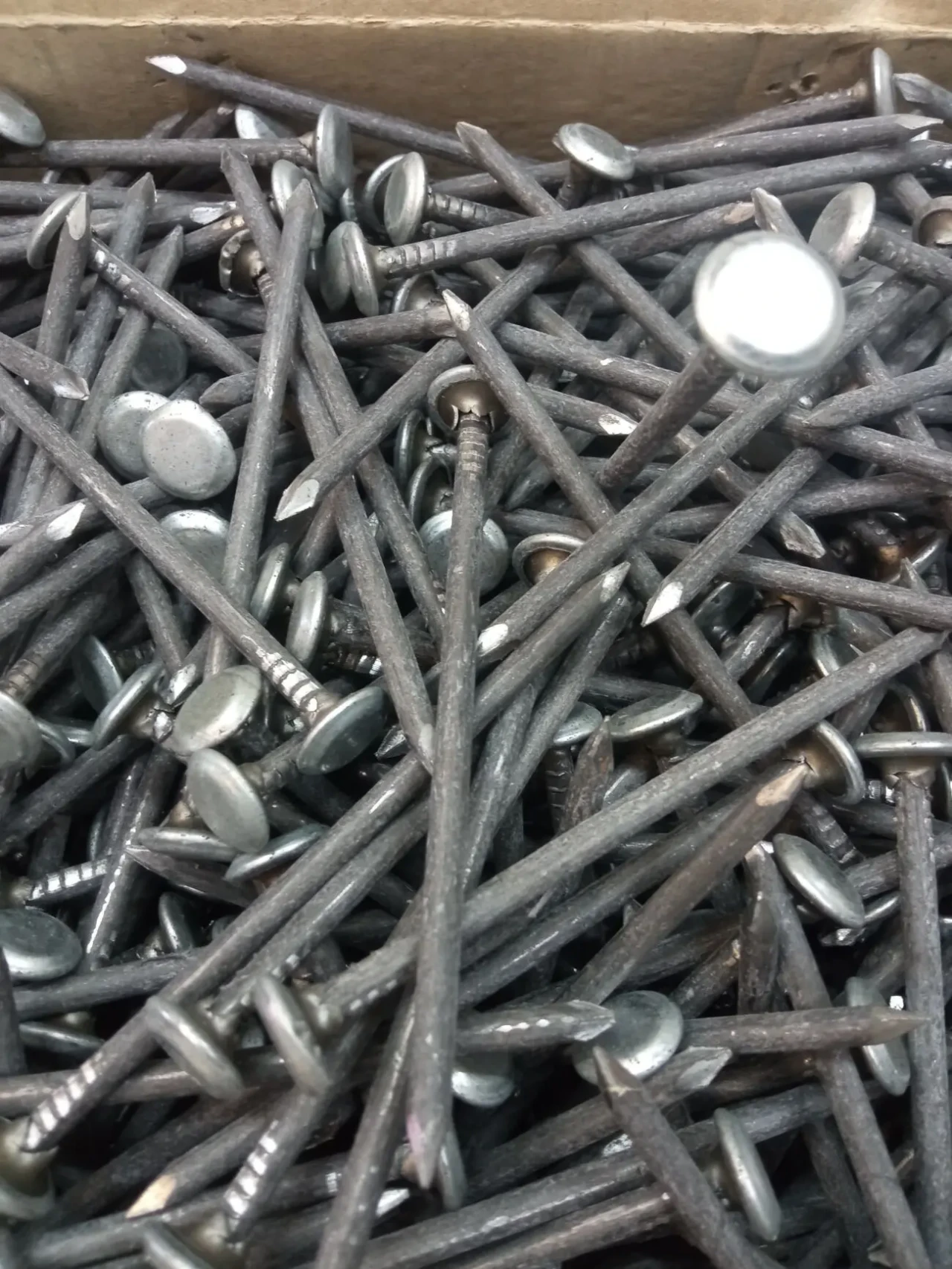 Продам гвозди шиферные с наборной шляпкой 5х120.