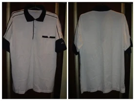 Футболка/ТЕНІСКА/сорочка поло L-ка Karoline, БІЛА з синім. Номерна.