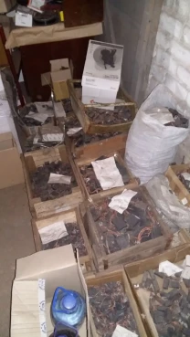 электрощетки меднографитовые и электрографитовые Э41, Э841, Э14 список